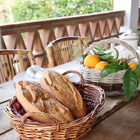 Casa Del Rio Boho Chic Retreat *